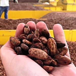SoloCoco Kakaobohnen roh 500g