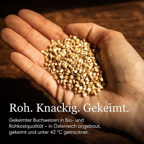 Buchweizen, angekeimt, bio, roh